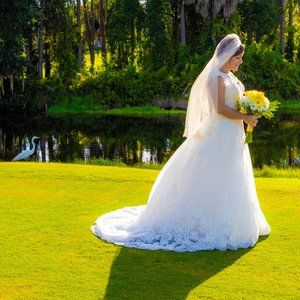 David's Bridal Wedding Dress